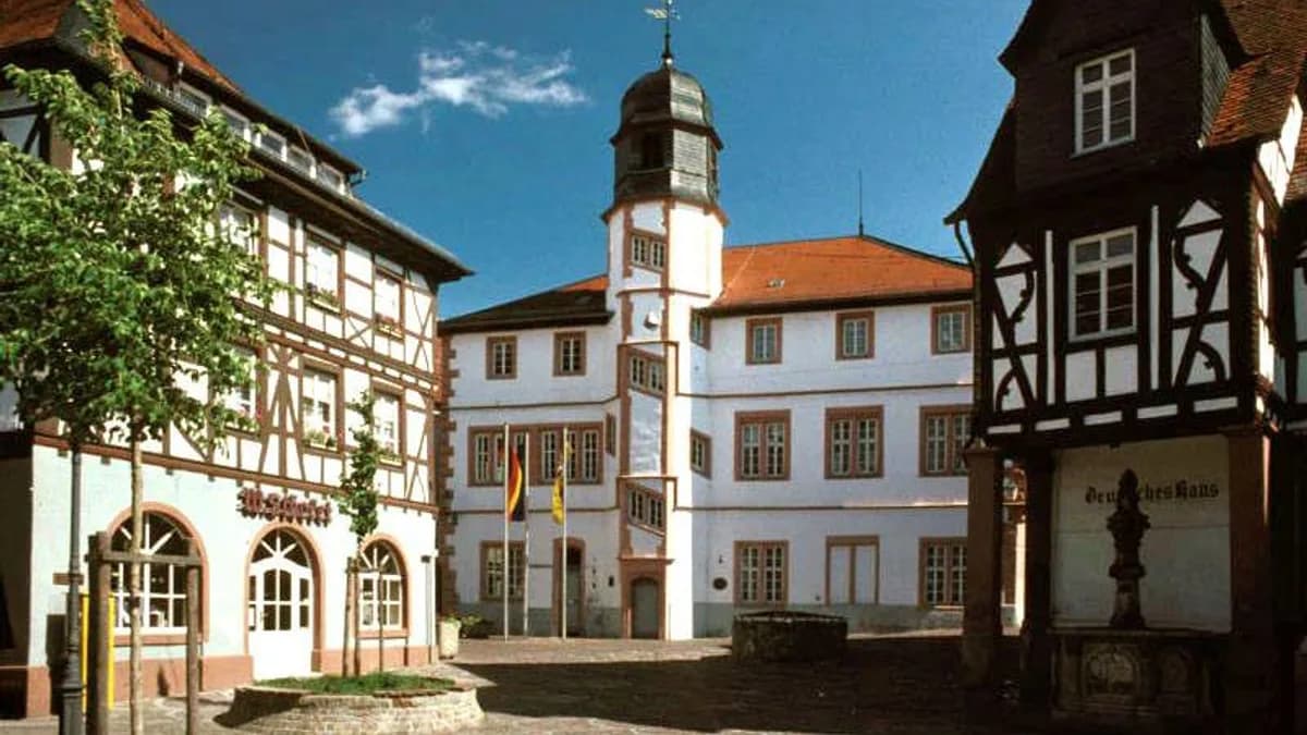 Stadtansicht von Alzey