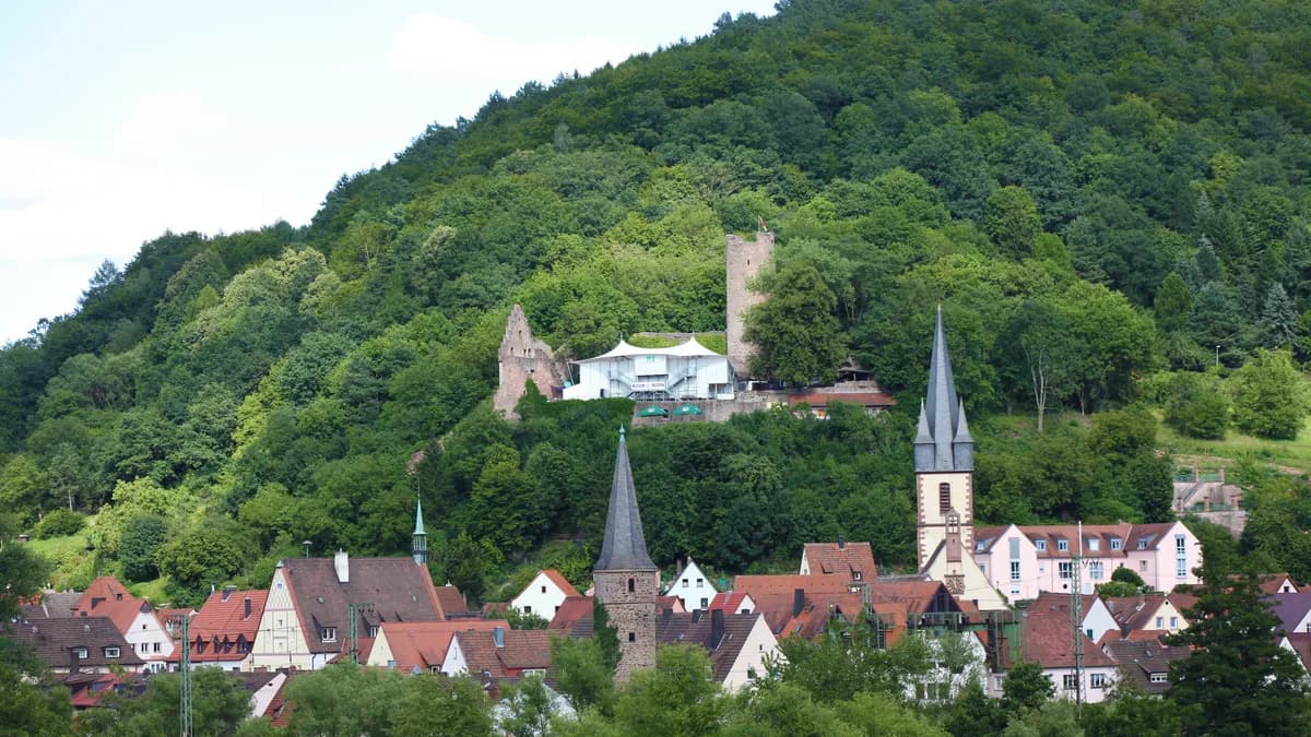 Stadtansicht von Gemünden am Main