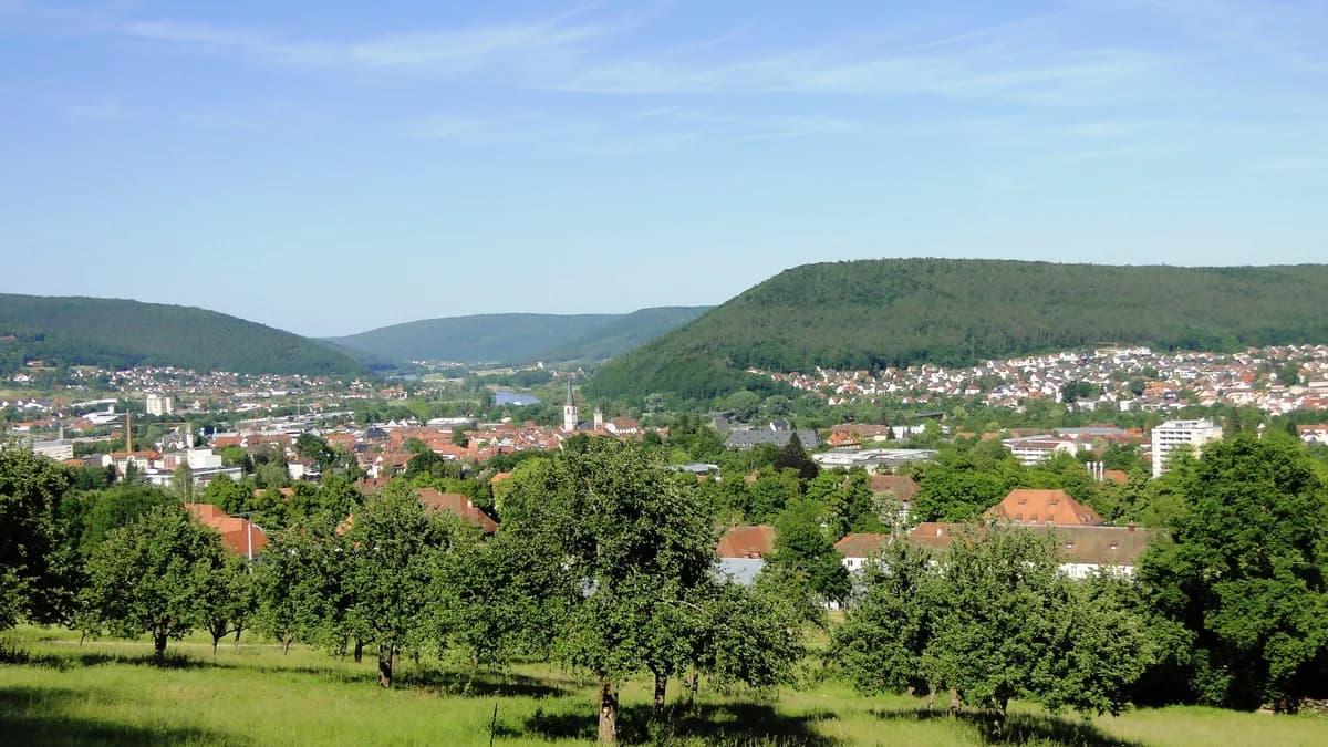 Stadtansicht von Lohr am Main