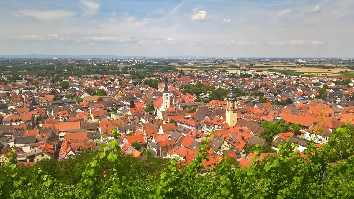Stadtansicht von Schriesheim